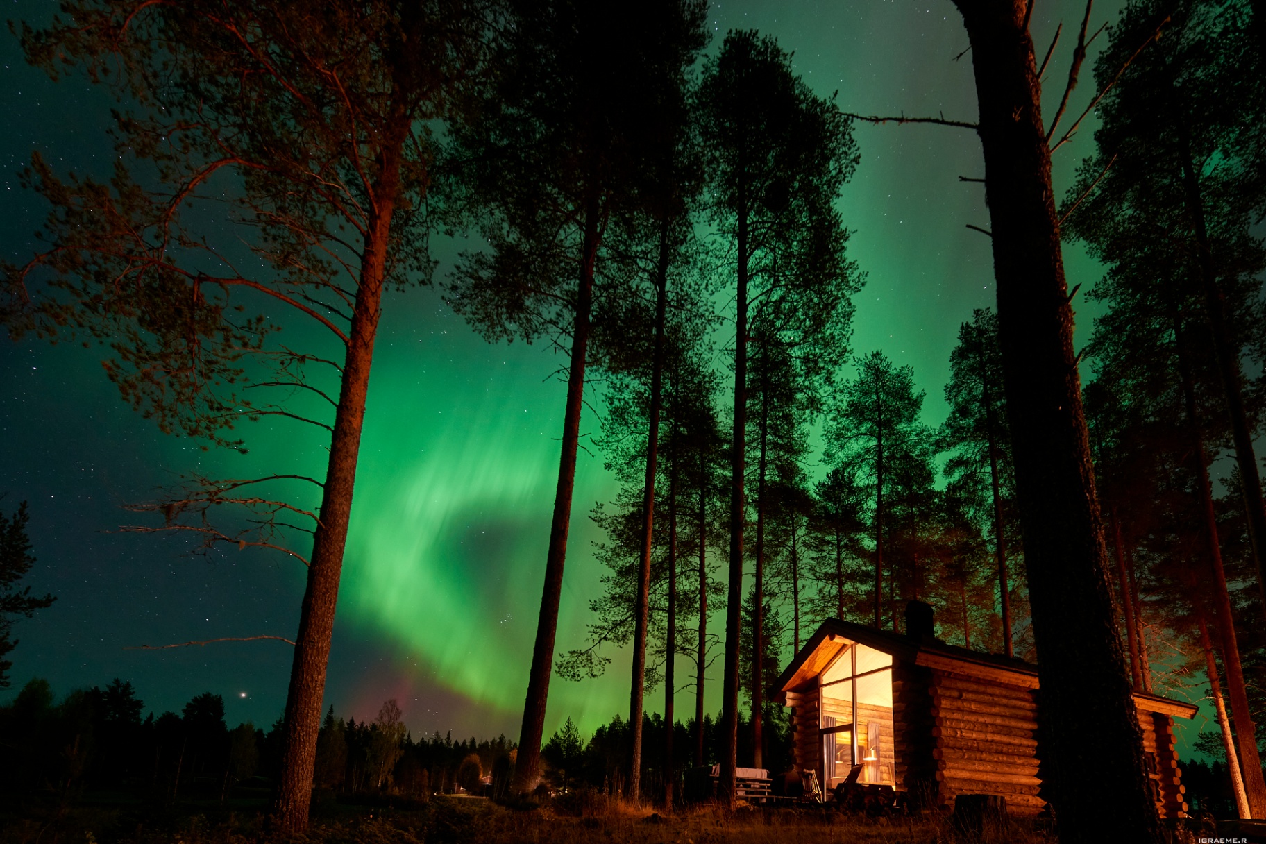 Log cabin under the northern lights in a Nordic pine forest